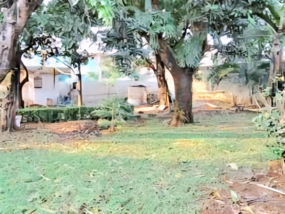 Rumah di Polonia