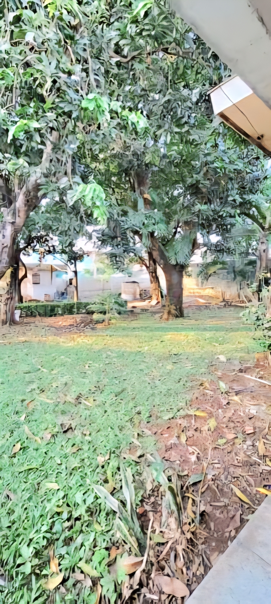 Rumah di Polonia